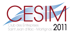 CESIM - Club d’entreprises de St Jean d’Illac et de Martignas
